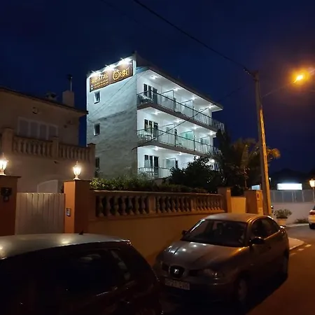 Residencia Orsi ホステル エル・アレナル