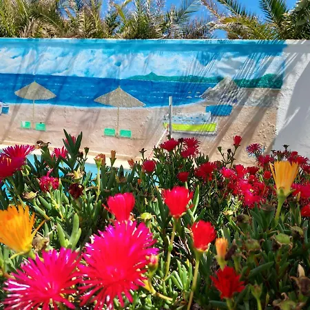 Residencia Orsi ホステル *